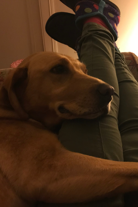 The Feeling Of Home 
